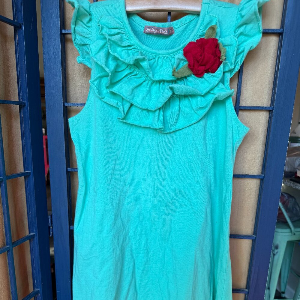 Jelly the Pug Girls Ruffle Dress with Flower Accent size 10